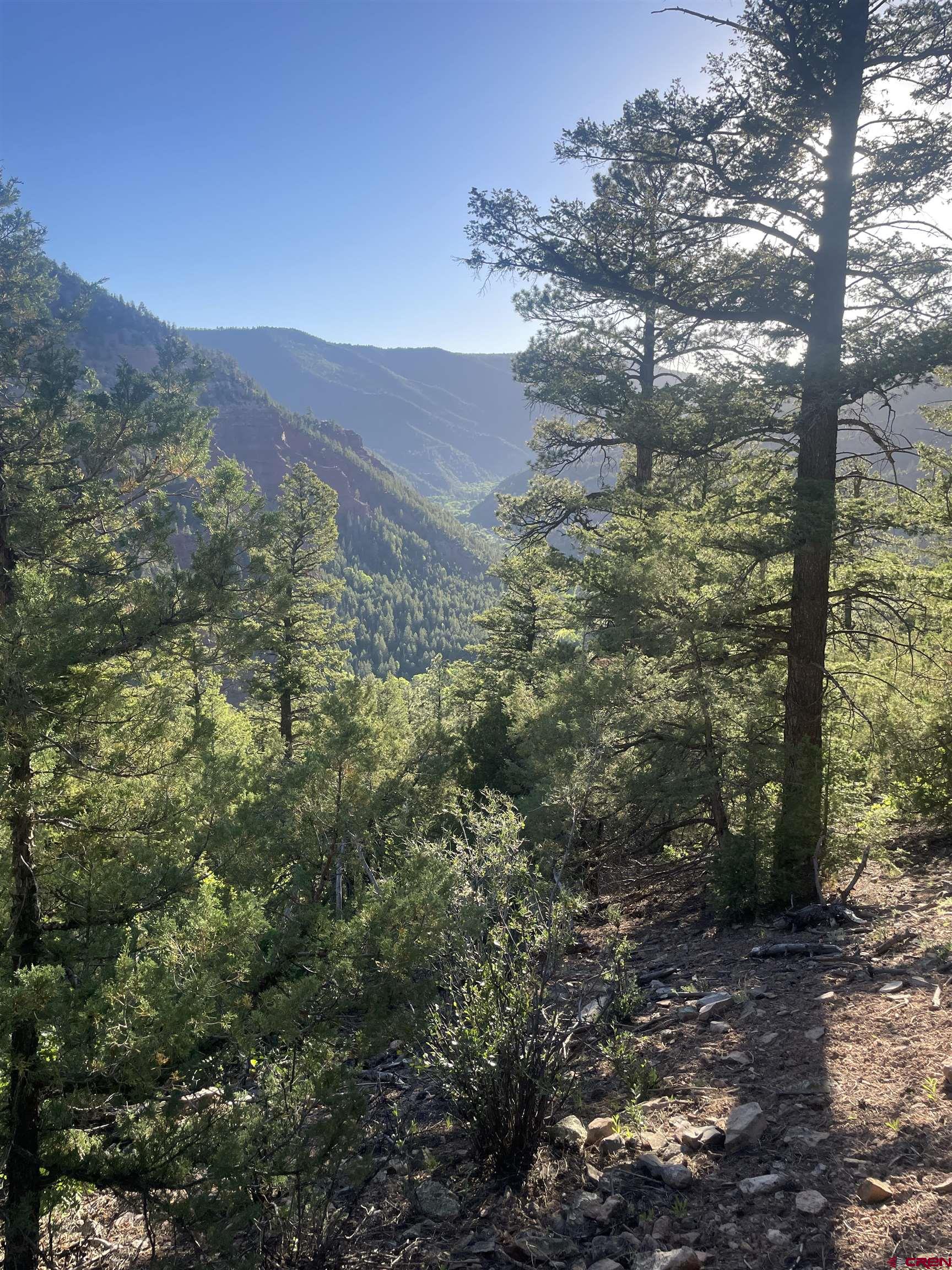 58p 58P Road Placerville, CO 81430 - Photo 22 of 34 a view of a forest with a mountain in the background
