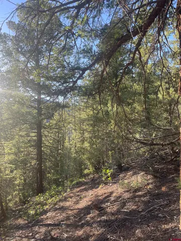 $325,000 | 58p 58P Road, Placerville, CO 81430