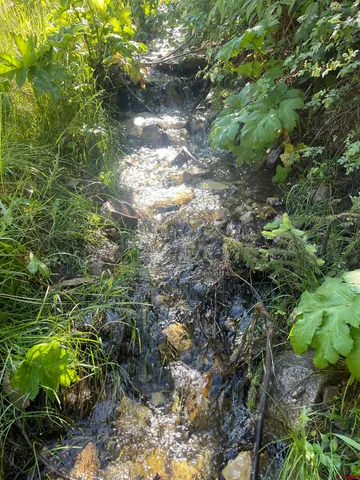 $325,000 | 58p 58P Road, Placerville, CO 81430