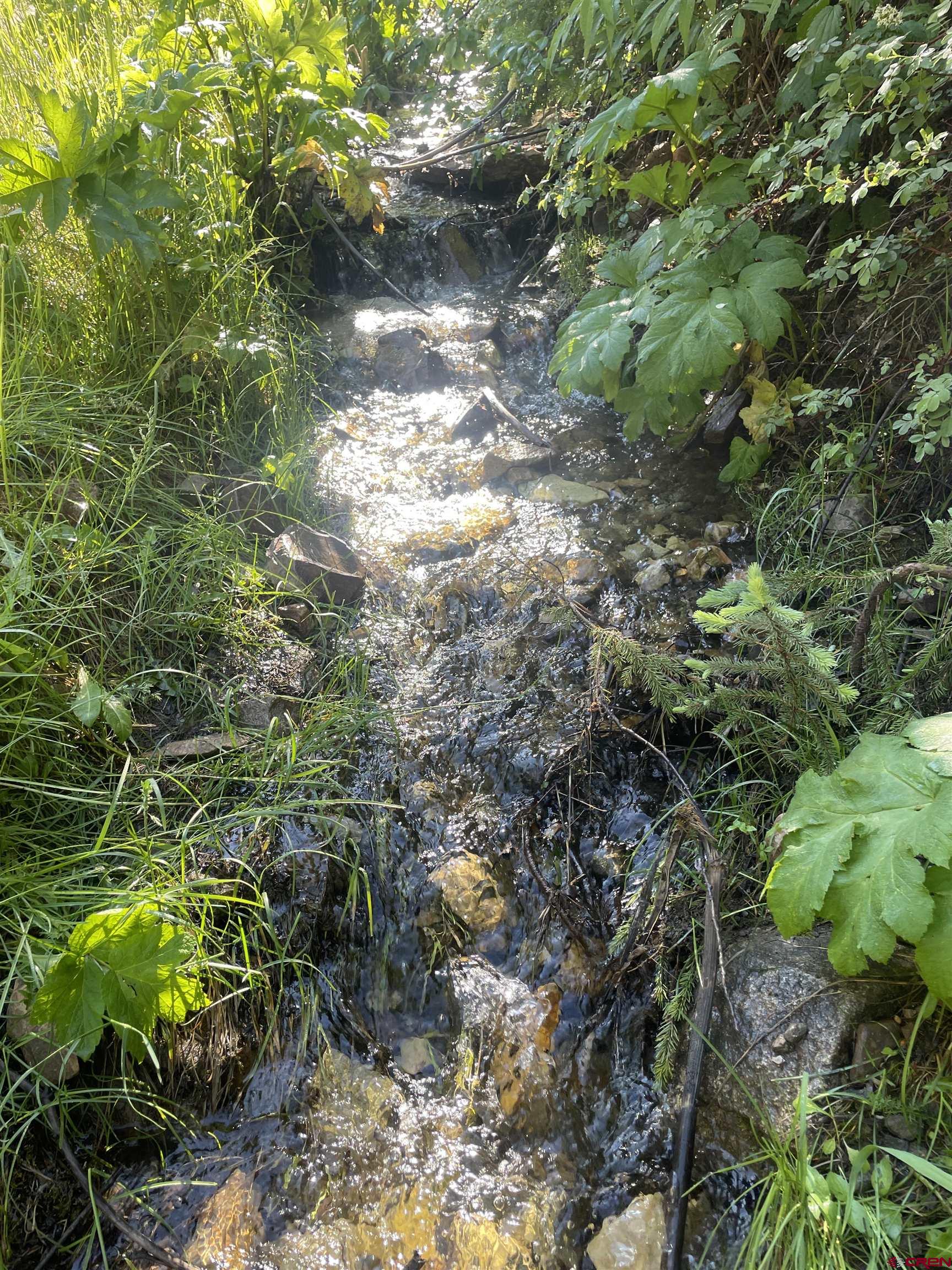 58p 58P Road Placerville, CO 81430 - Photo 27 of 34 a view of a tree in a garden