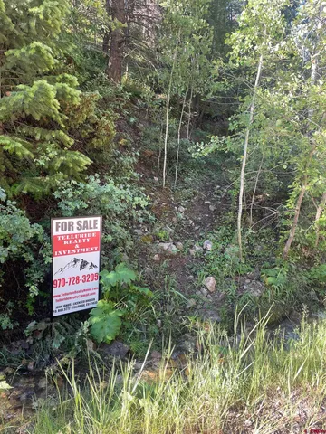 $325,000 | 58p 58P Road, Placerville, CO 81430