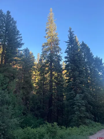 $325,000 | 58p 58P Road, Placerville, CO 81430