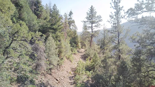 $325,000 | 58p 58P Road, Placerville, CO 81430