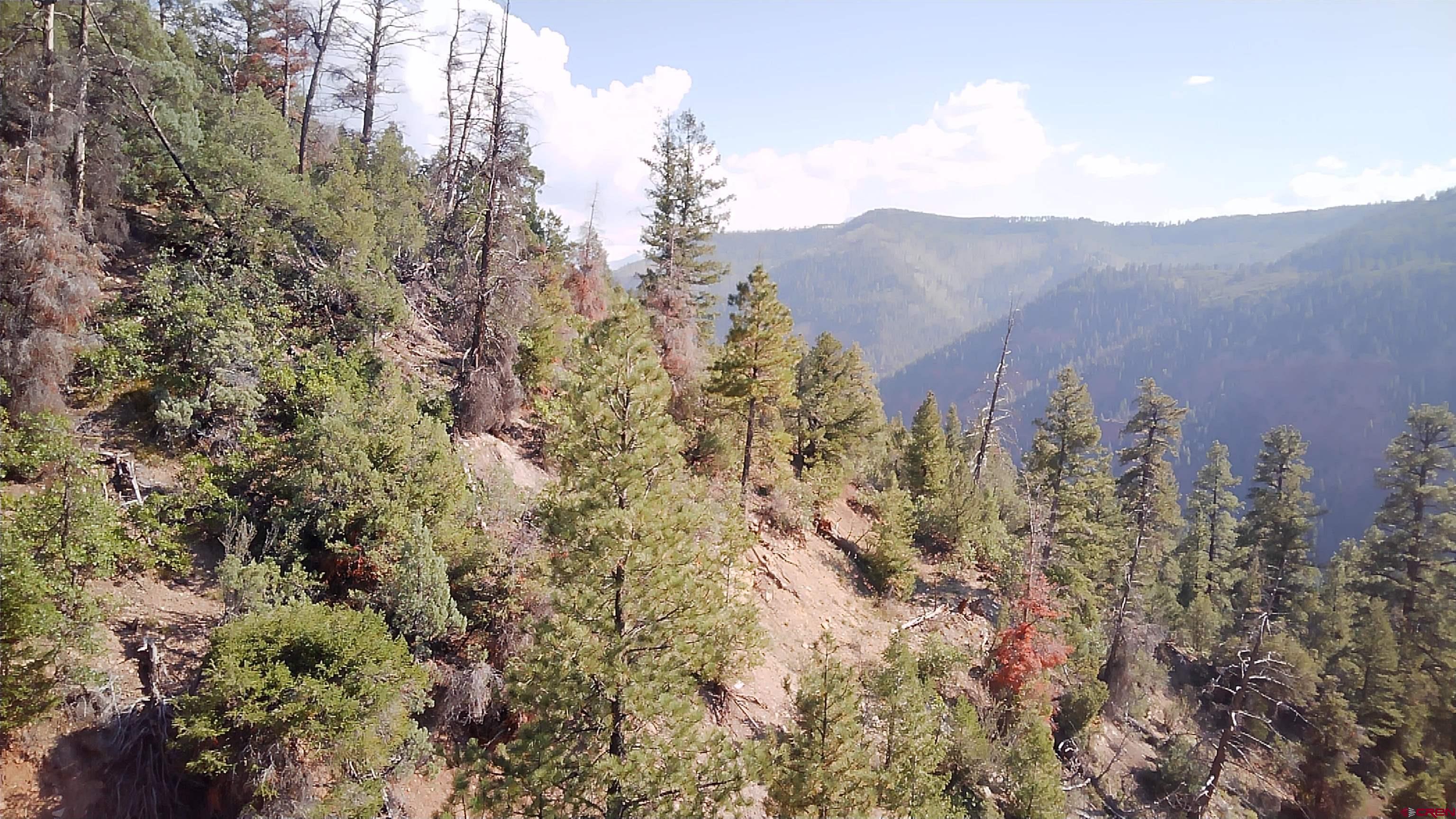 58p 58P Road Placerville, CO 81430 - Photo 34 of 34 a view of a city