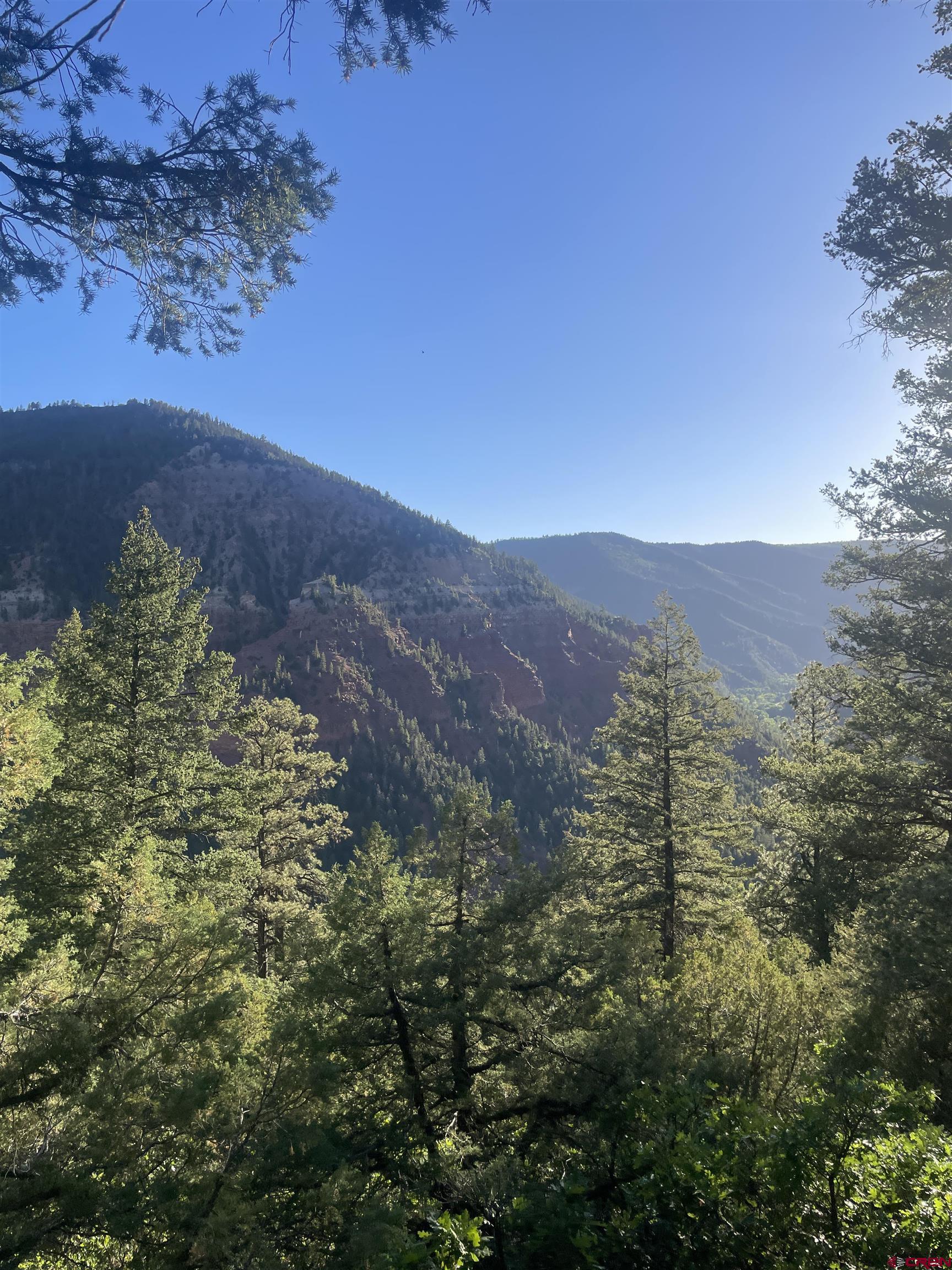 58p 58P Road Placerville, CO 81430 - Photo 5 of 34 a view of a city with a mountain in the background