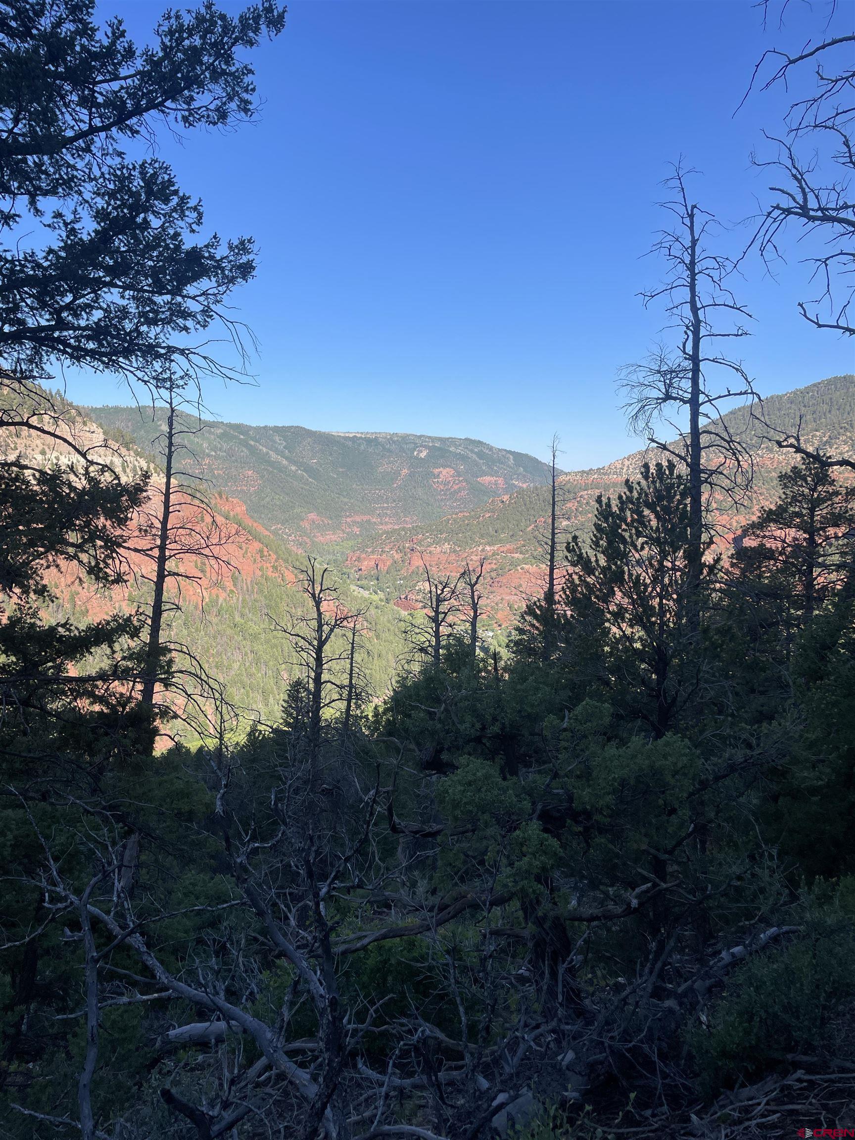 58p 58P Road Placerville, CO 81430 - Photo 6 of 34