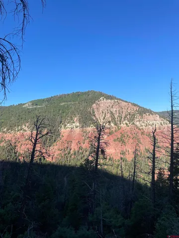 $325,000 | 58p 58P Road, Placerville, CO 81430