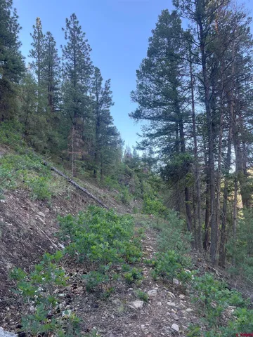 $325,000 | 58p 58P Road, Placerville, CO 81430