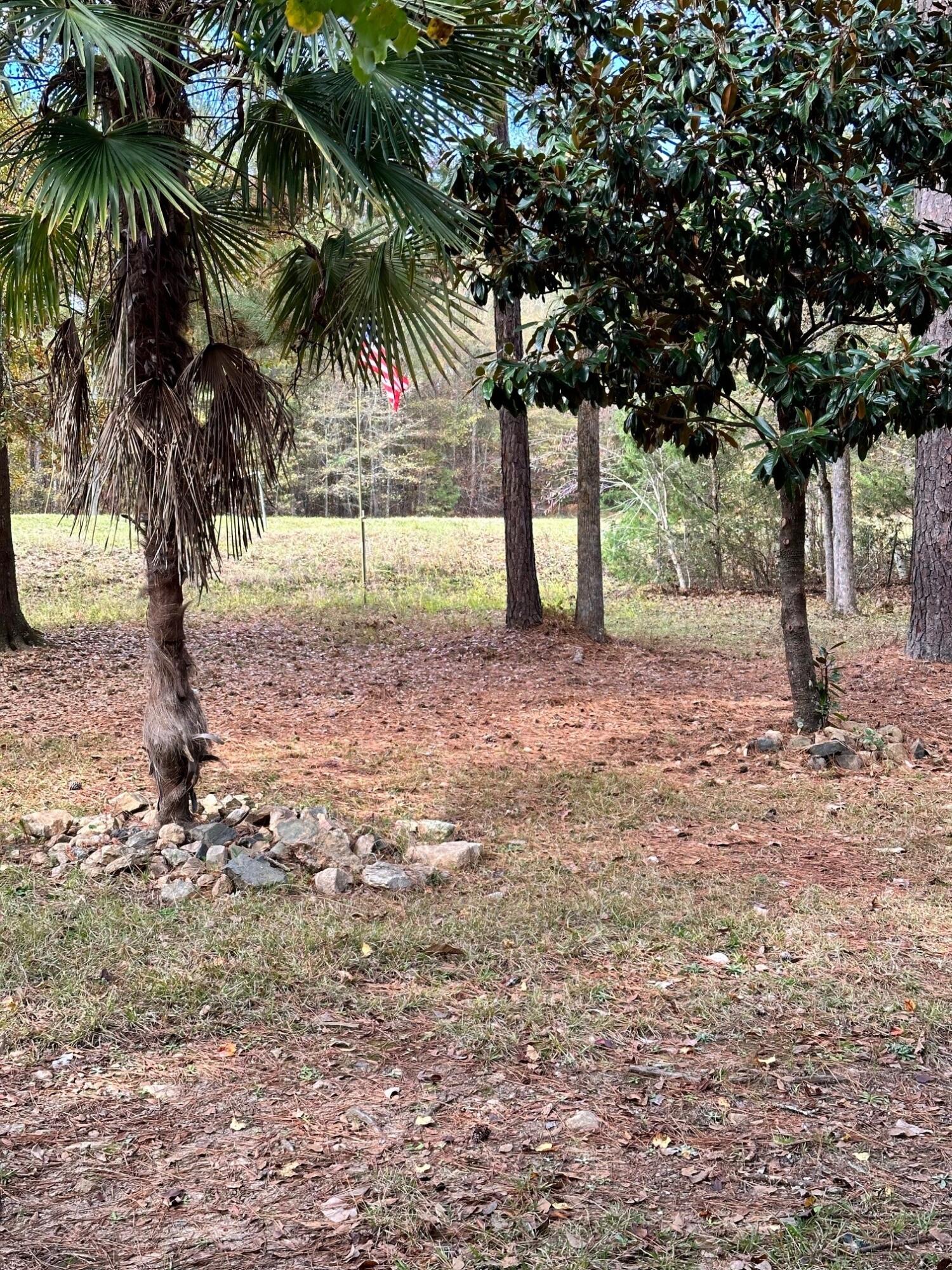 1665 Hinton Wilson Road Harlem, GA 30814 - Photo 1 of 3 Land