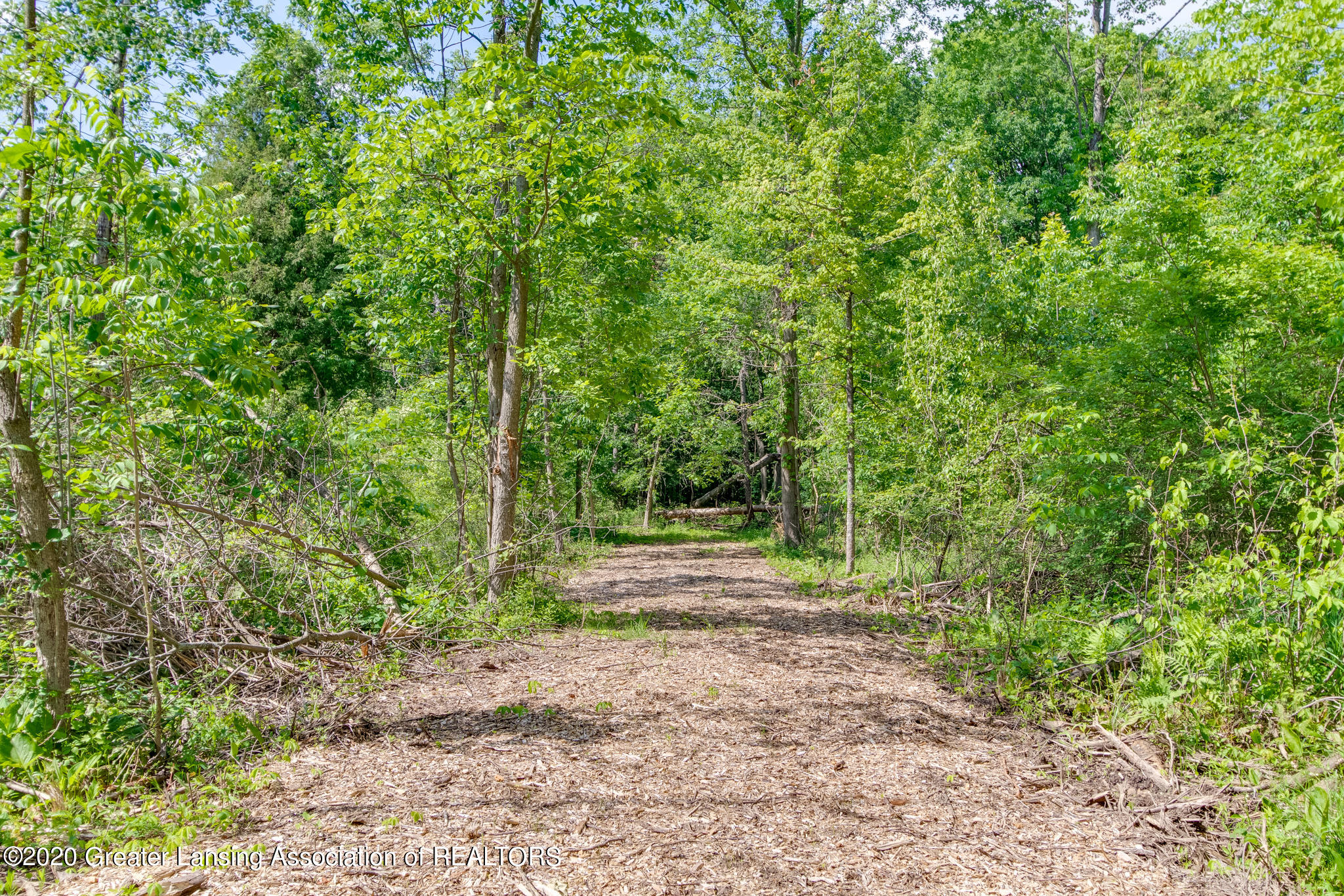 4810 West Clark Road Lansing, MI 48906 - Photo 20 of 82 20