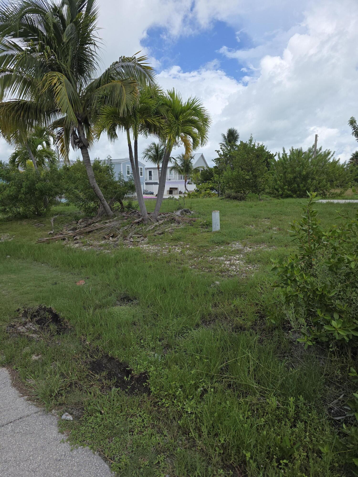 207 Venus Lane Key West, FL 33040 - Photo 3 of 3 a view of a palm trees in a yard