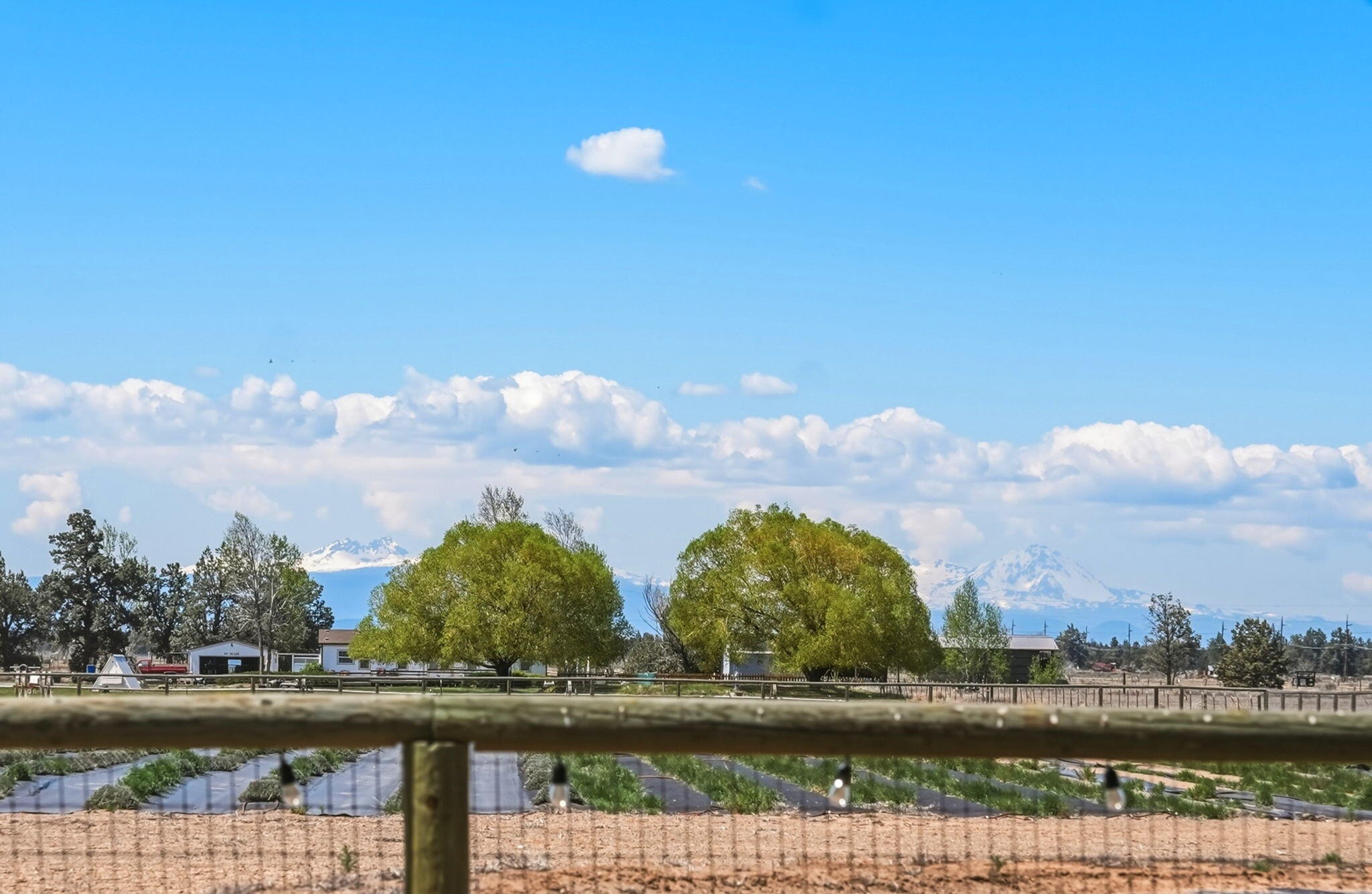 26345 Walker Road Bend, OR 97701 - Photo 93 of 98 91-web-or-mls-Riley_Visuals_033