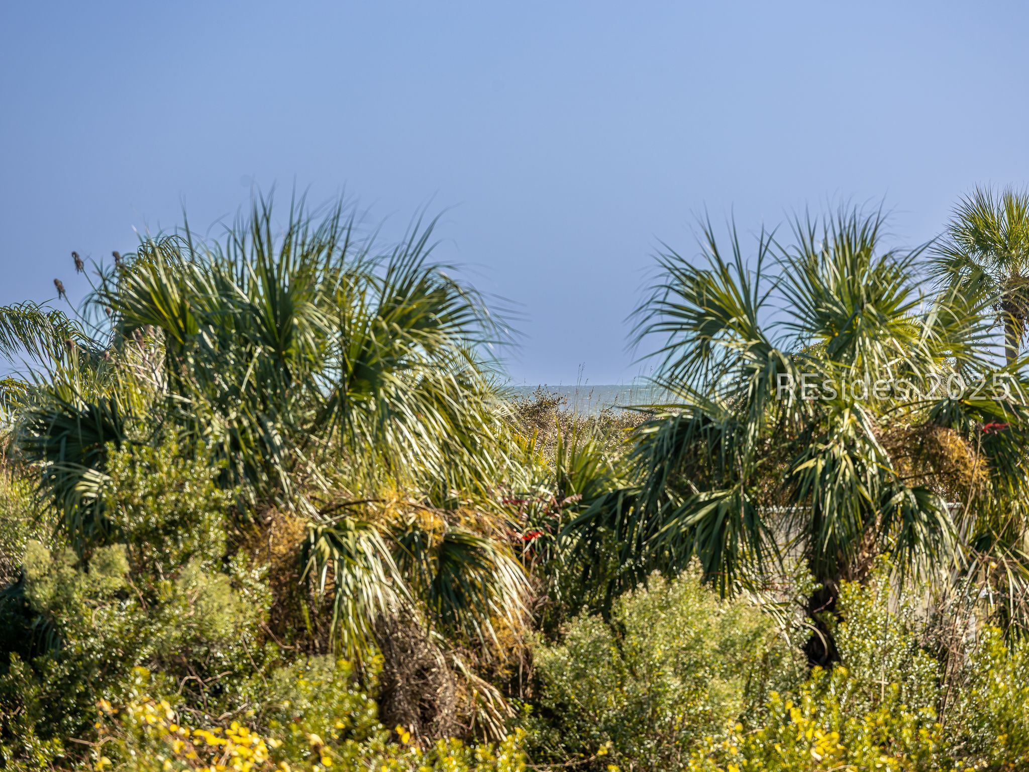 40 Folly Field Road, Unit C131 Hilton Head Island, SC 29928 - Photo 27 of 37
