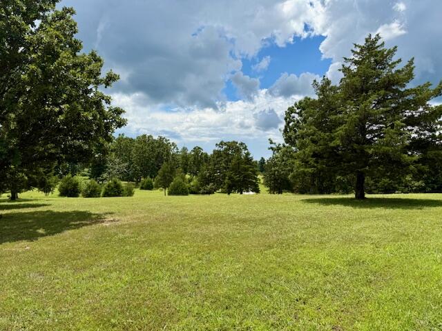 3379 State Route West Summersville, MO 65571 - Photo 76 of 88 IMG_7173