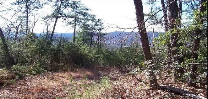 Lot 147 Buck Mountain Road Purlear, NC 28665 - Photo 2 of 6