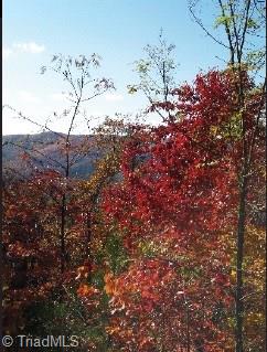 Lot 147 Buck Mountain Road Purlear, NC 28665 - Photo 3 of 6