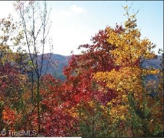 Lot 147 Buck Mountain Road Purlear, NC 28665 - Photo 4 of 6