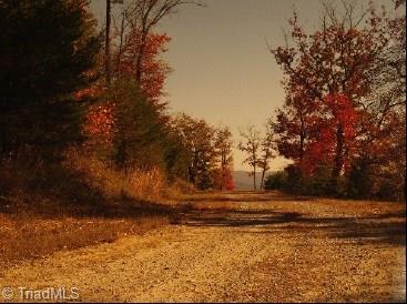 Lot 147 Buck Mountain Road Purlear, NC 28665 - Photo 5 of 6