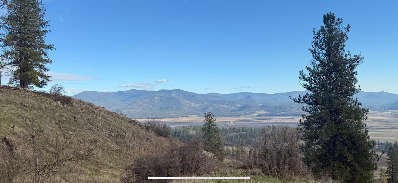 Xxx Farm To Market Loop Road Chewelah, WA 99109 - Photo 12 of 13 Gallery Image 12