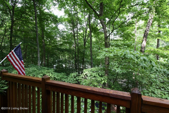789 Penn Run Road Bee Spring, KY 42207 - Photo 32 of 33 view to lake (Small)