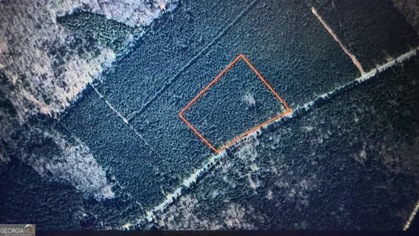 $50,000 | Lot 8-9 Rocky Springs Road, Eastman, GA 31023