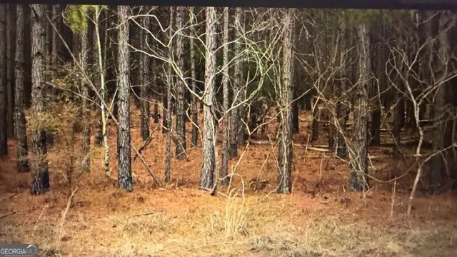 $59,999 | Lot 8-9 Rocky Springs Road, Eastman, GA 31023