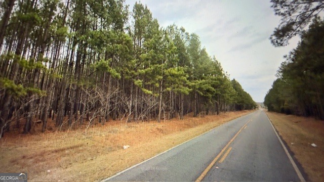 Lot 8-9 Rocky Springs Road Eastman, GA 31023 - Photo 3 of 6