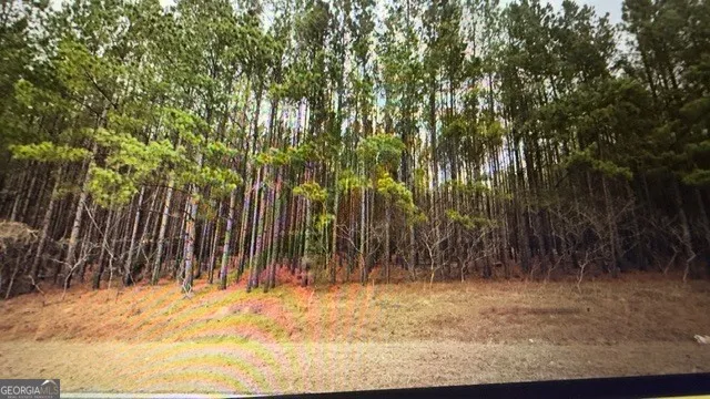 $59,999 | Lot 8-9 Rocky Springs Road, Eastman, GA 31023