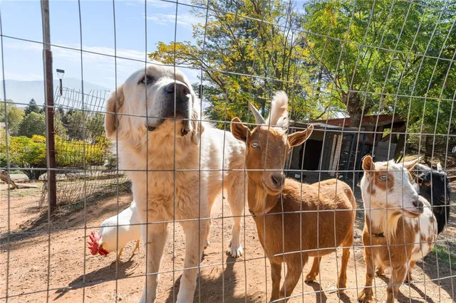 $1,250,000 | 11055 Sunset Avenue, Banning, CA 92220