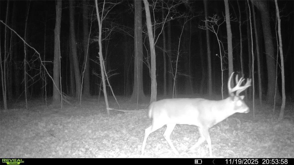 5 Comet Road Exeland, WI 54835 - Photo 12 of 29