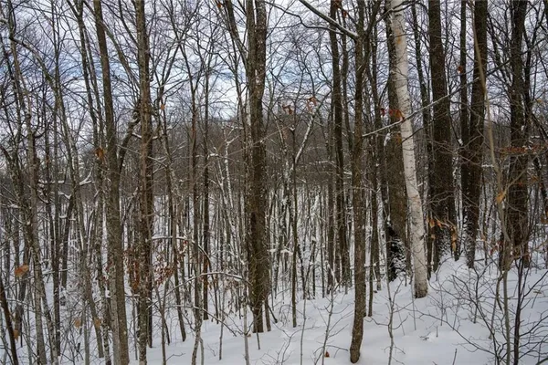 $1,218,600 | 5 Comet Road, Exeland, WI 54835