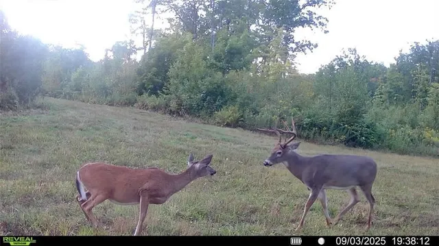 $1,363,320 | 5 Comet Road, Exeland, WI 54835