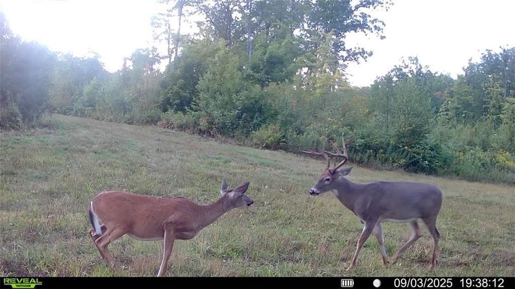 5 Comet Road Exeland, WI 54835 - Photo 17 of 30