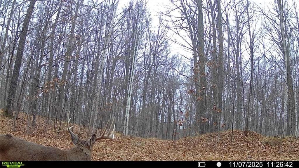 5 Comet Road Exeland, WI 54835 - Photo 17 of 29