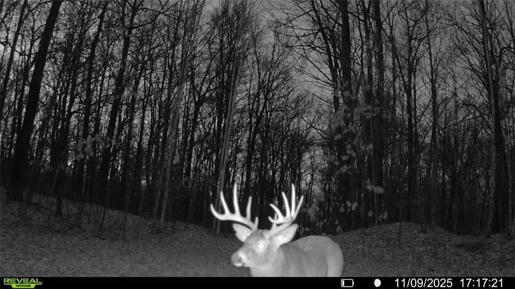 5 Comet Road Exeland, WI 54835 - Photo 19 of 30