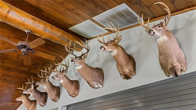 $1,363,320 | 5 Comet Road, Exeland, WI 54835