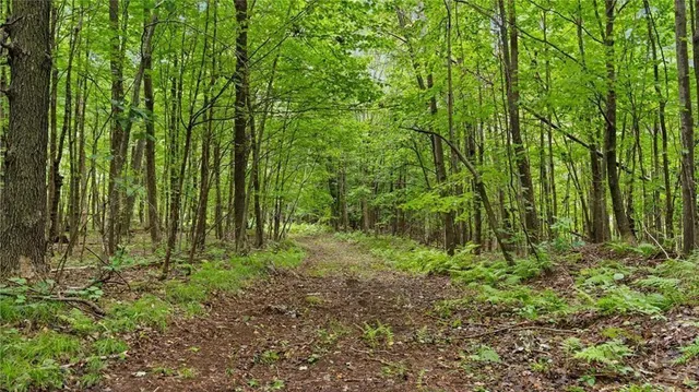 $1,363,320 | 5 Comet Road, Exeland, WI 54835