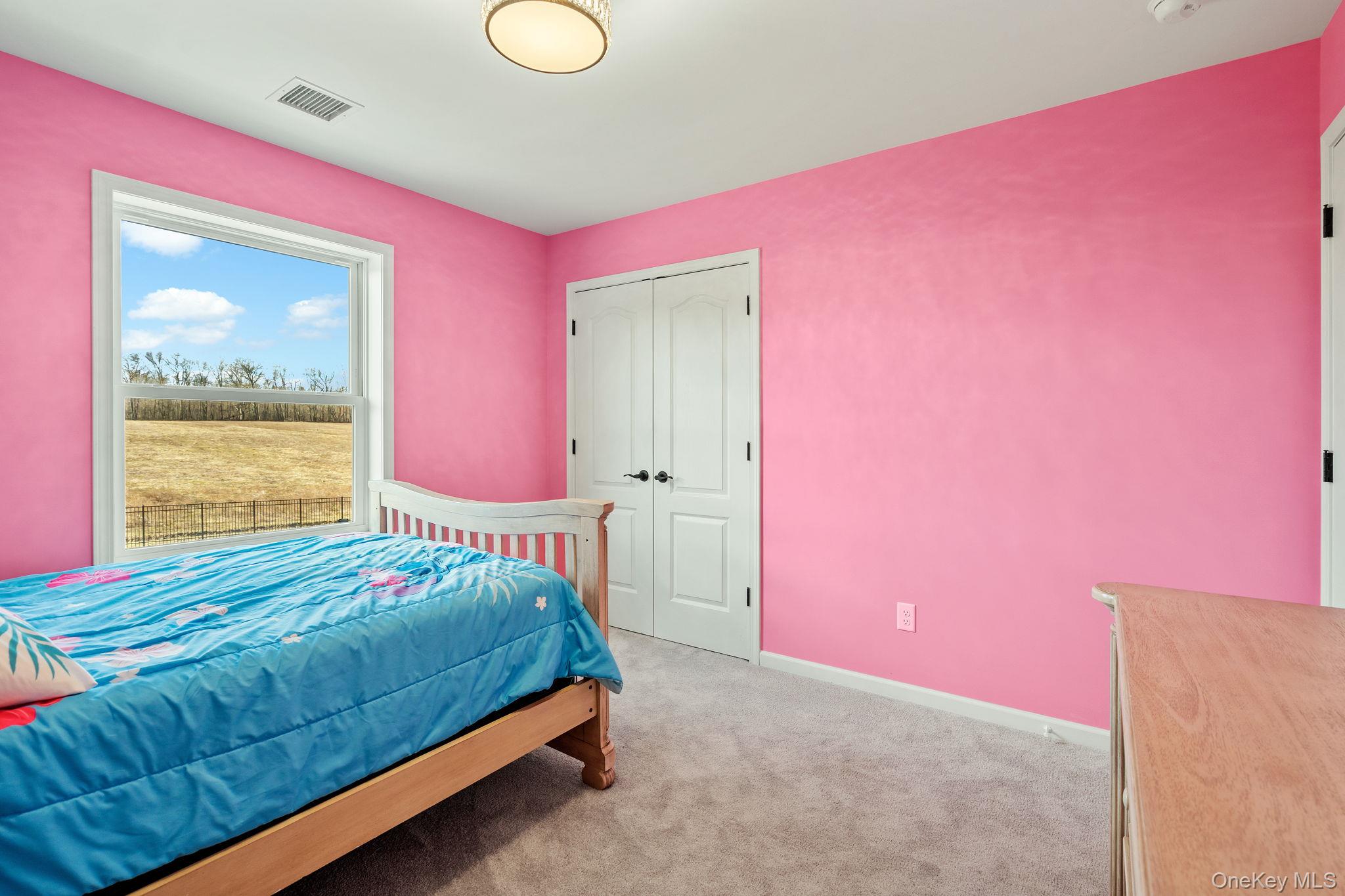 10 Harrier Ridge Drive Wallkill, NY 12589 - Photo 34 of 46 Bedroom with light colored carpet and a closet