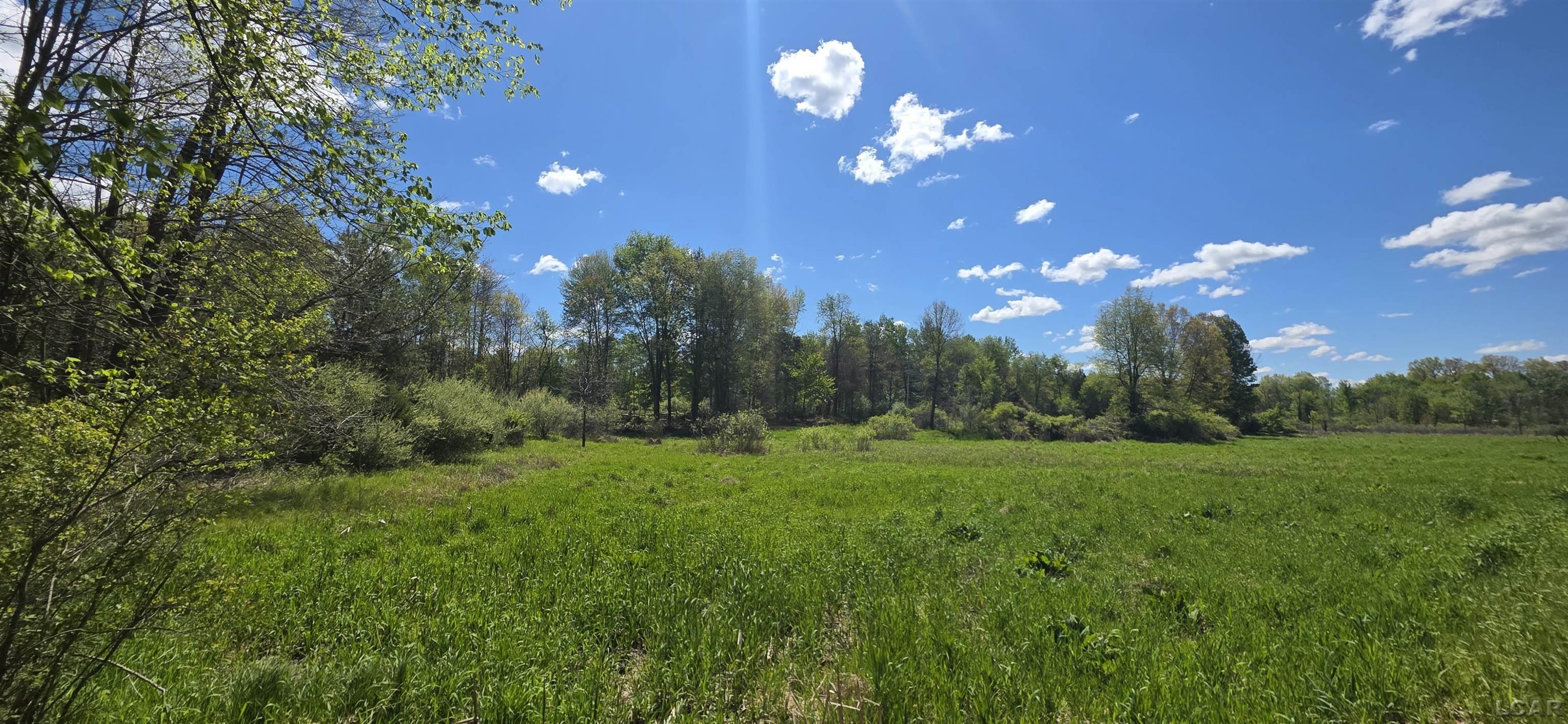15252 27 Mile Road Albion, MI 49224 - Photo 6 of 57