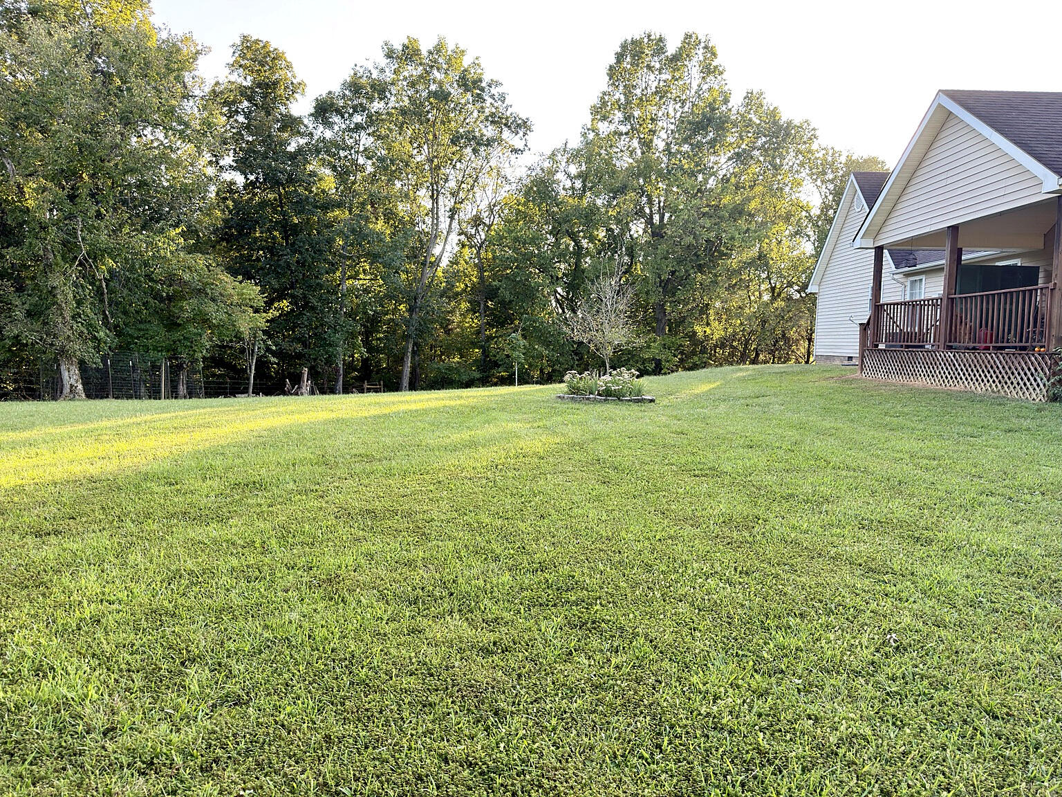 673 Crawford Bend Road Hillsboro, KY 41049 - Photo 20 of 32 Back Yard/Covered Deck