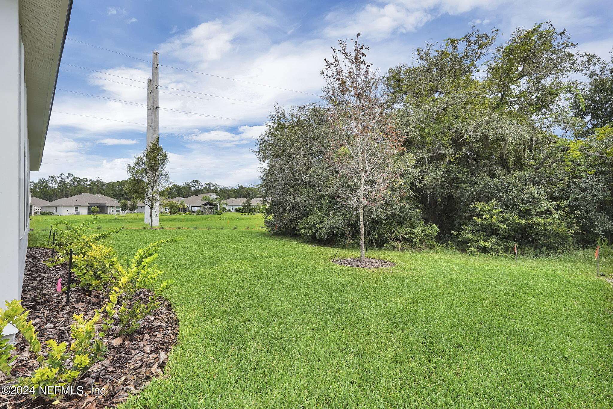 116 Greylock Lane St. Augustine, FL 32092 - Photo 4 of 50 a garden with lots of green space