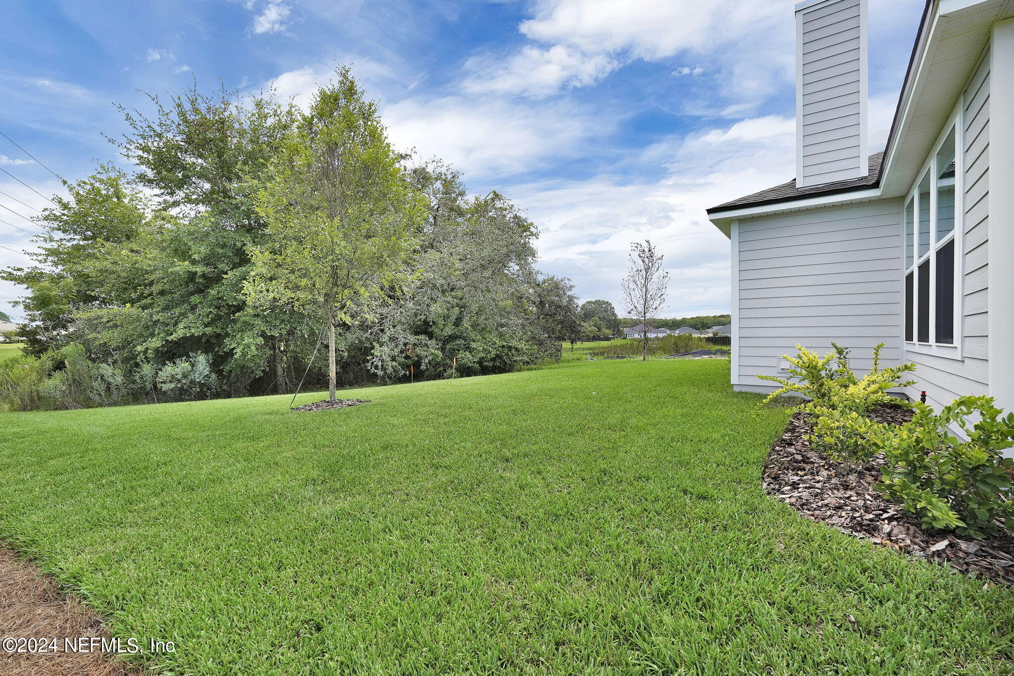 116 Greylock Lane St. Augustine, FL 32092 - Photo 7 of 50 a view of a back yard