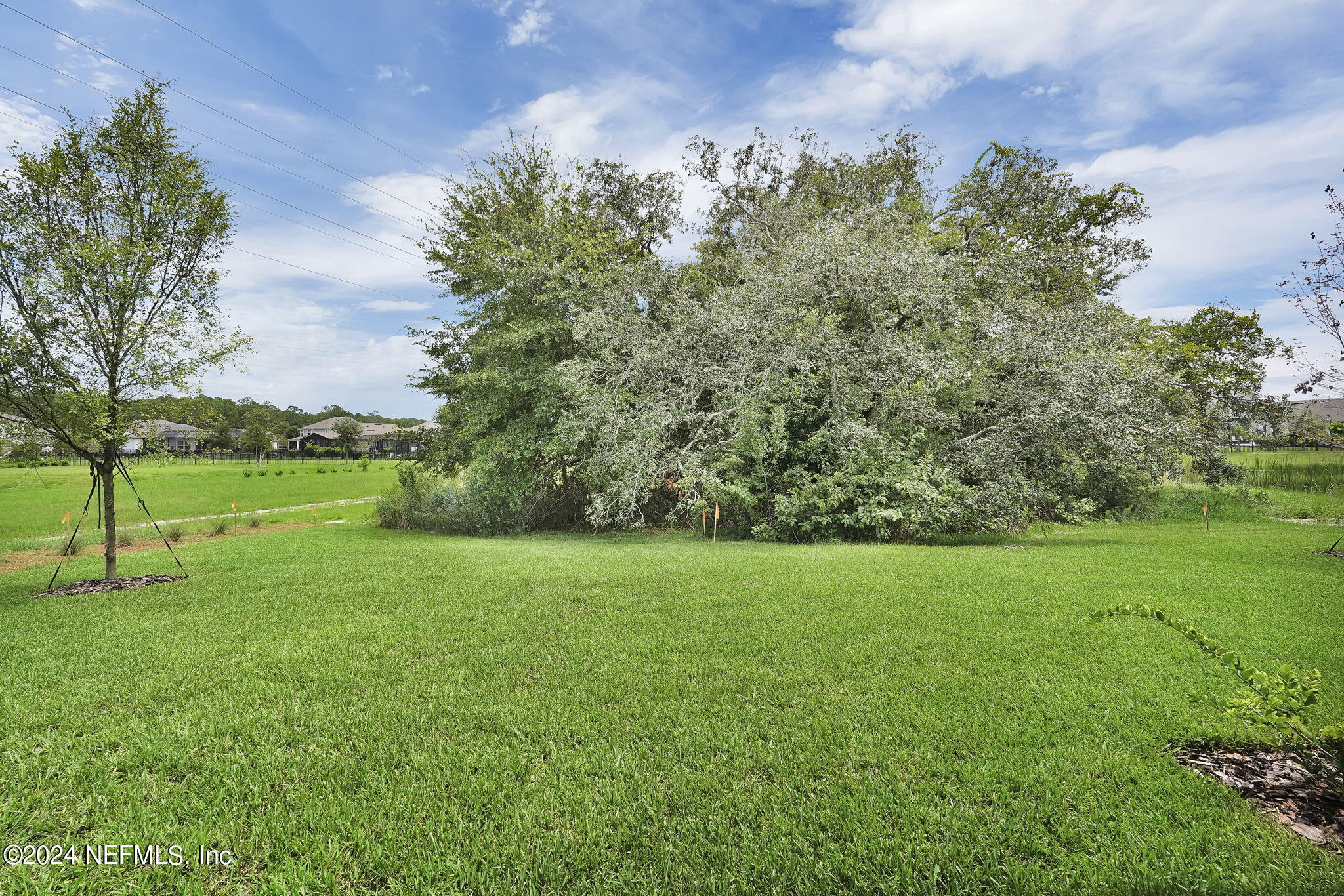 116 Greylock Lane St. Augustine, FL 32092 - Photo 8 of 50 a view of a field of grass and trees