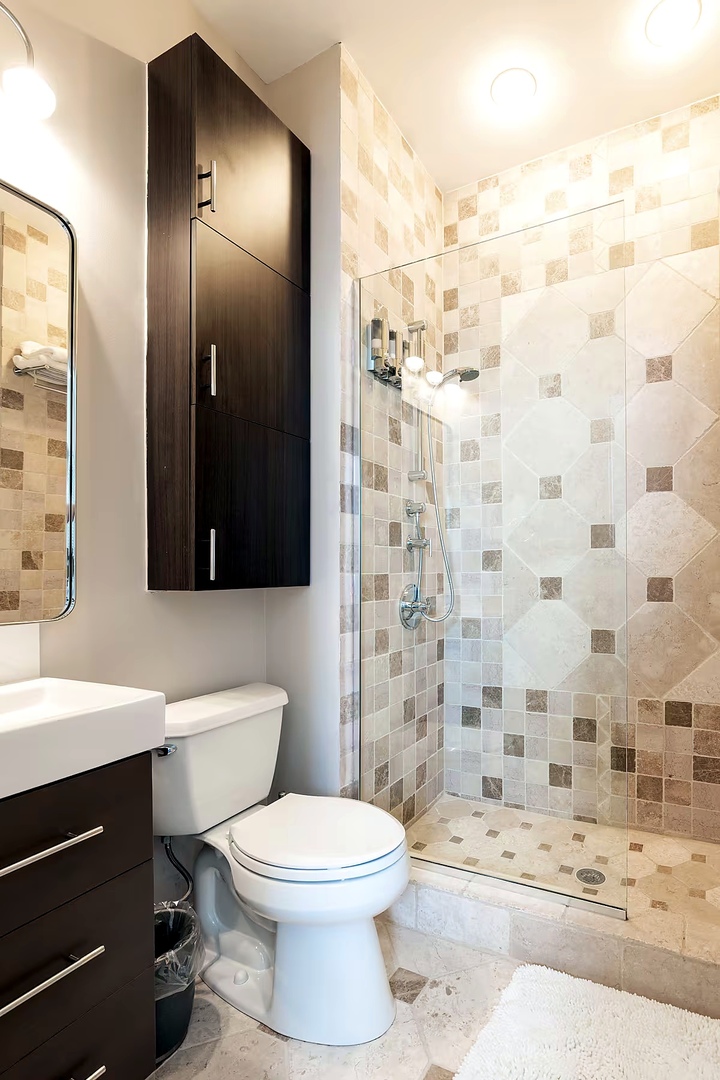 1427 North Mohawk Street Chicago, IL 60610 - Photo 38 of 54 a bathroom with a sink a toilet and shower