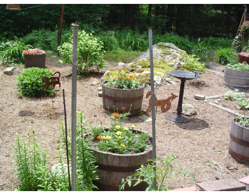 10 Diamond Road Lexington, MA 02420 - Photo 11 of 12 a view of a backyard with chair and potted plants