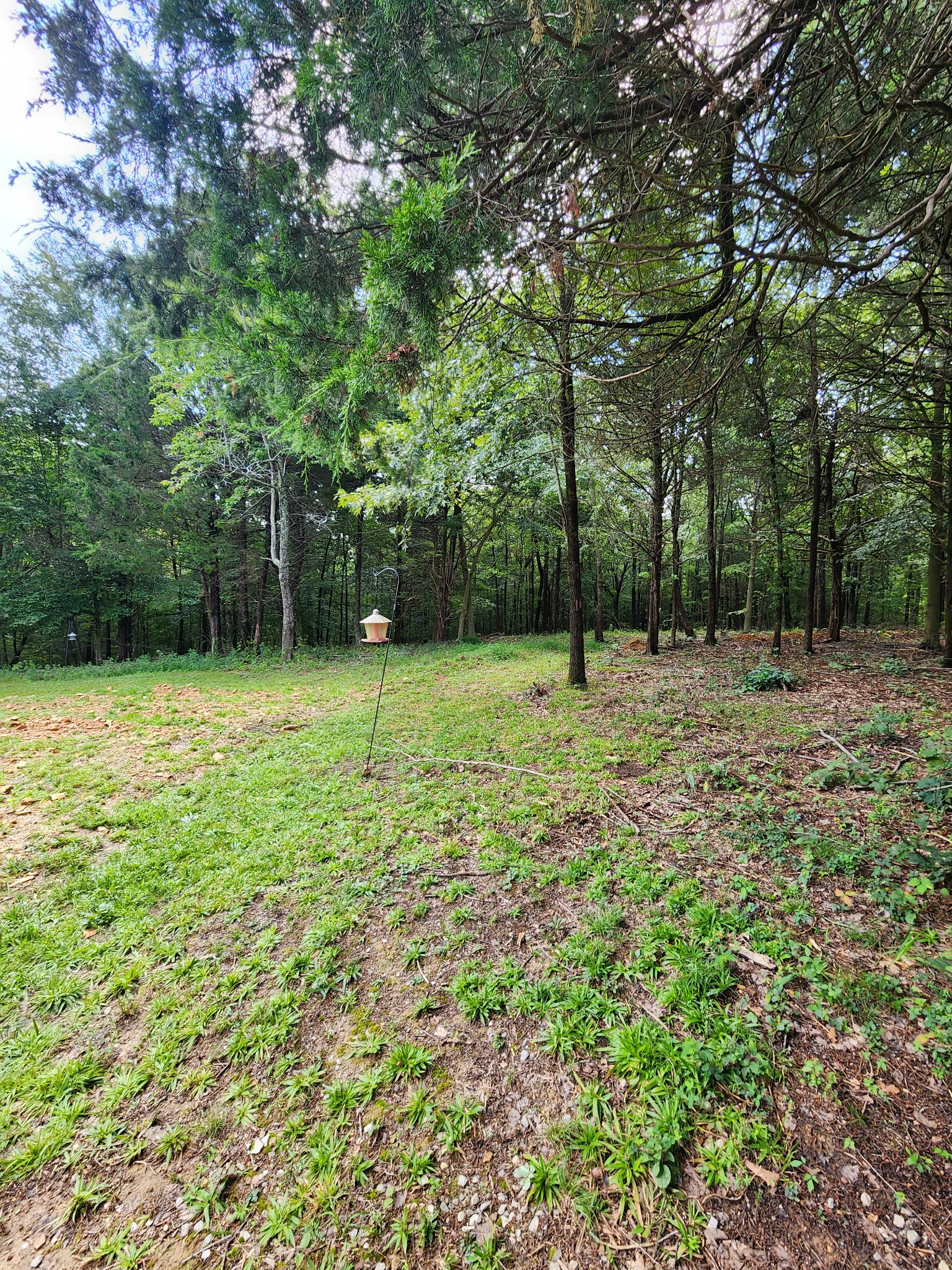 2280 Butcher Ridge Road Cumberland Furnace, TN 37051 - Photo 23 of 33 Gallery Image 23
