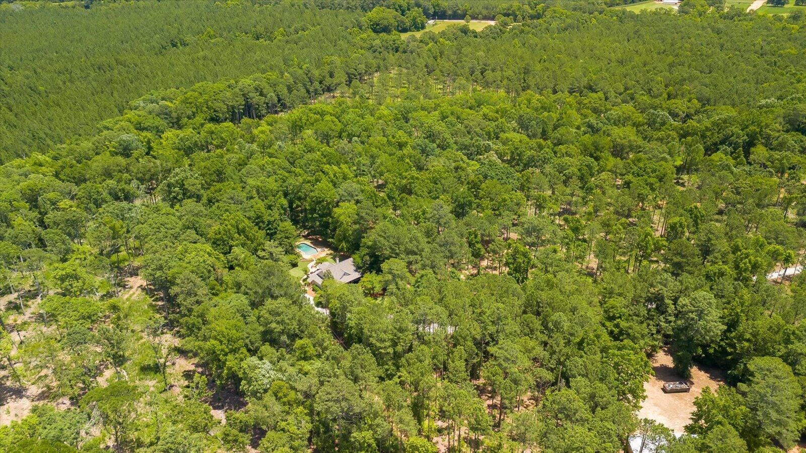 672 Plum Branch Road Edgefield, SC 29824 - Photo 40 of 70 39-039-