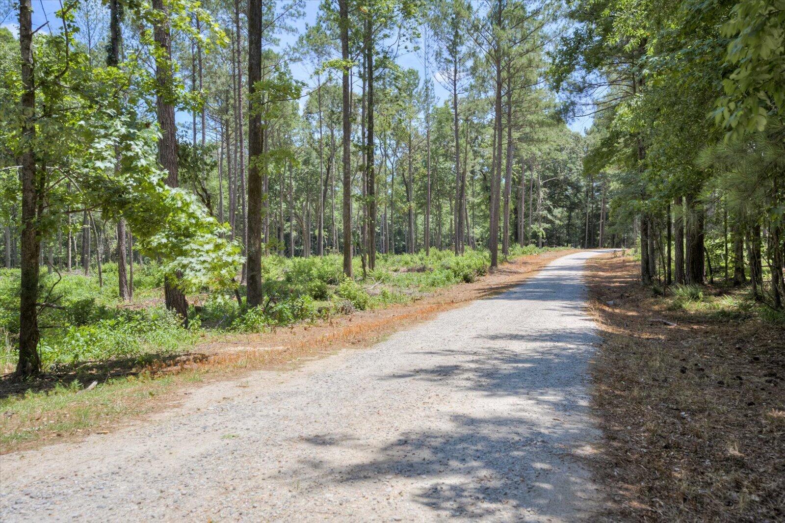 672 Plum Branch Road Edgefield, SC 29824 - Photo 55 of 70 54-054-
