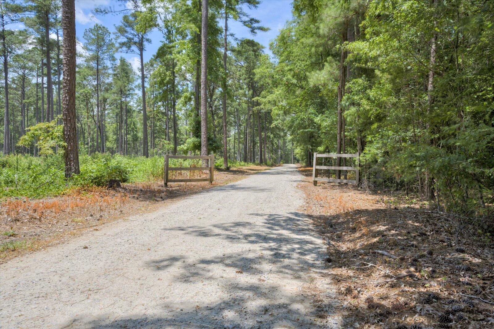 672 Plum Branch Road Edgefield, SC 29824 - Photo 56 of 70 55-055-