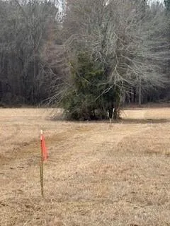 a backyard of a house with a yard
